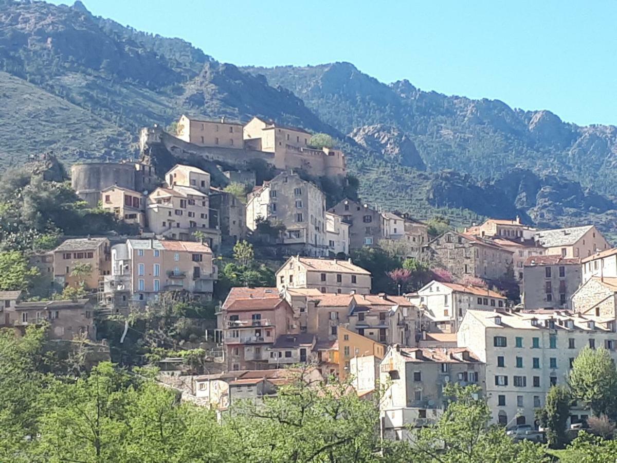 Dans Neuve Et Calme * Corte (Corsica)